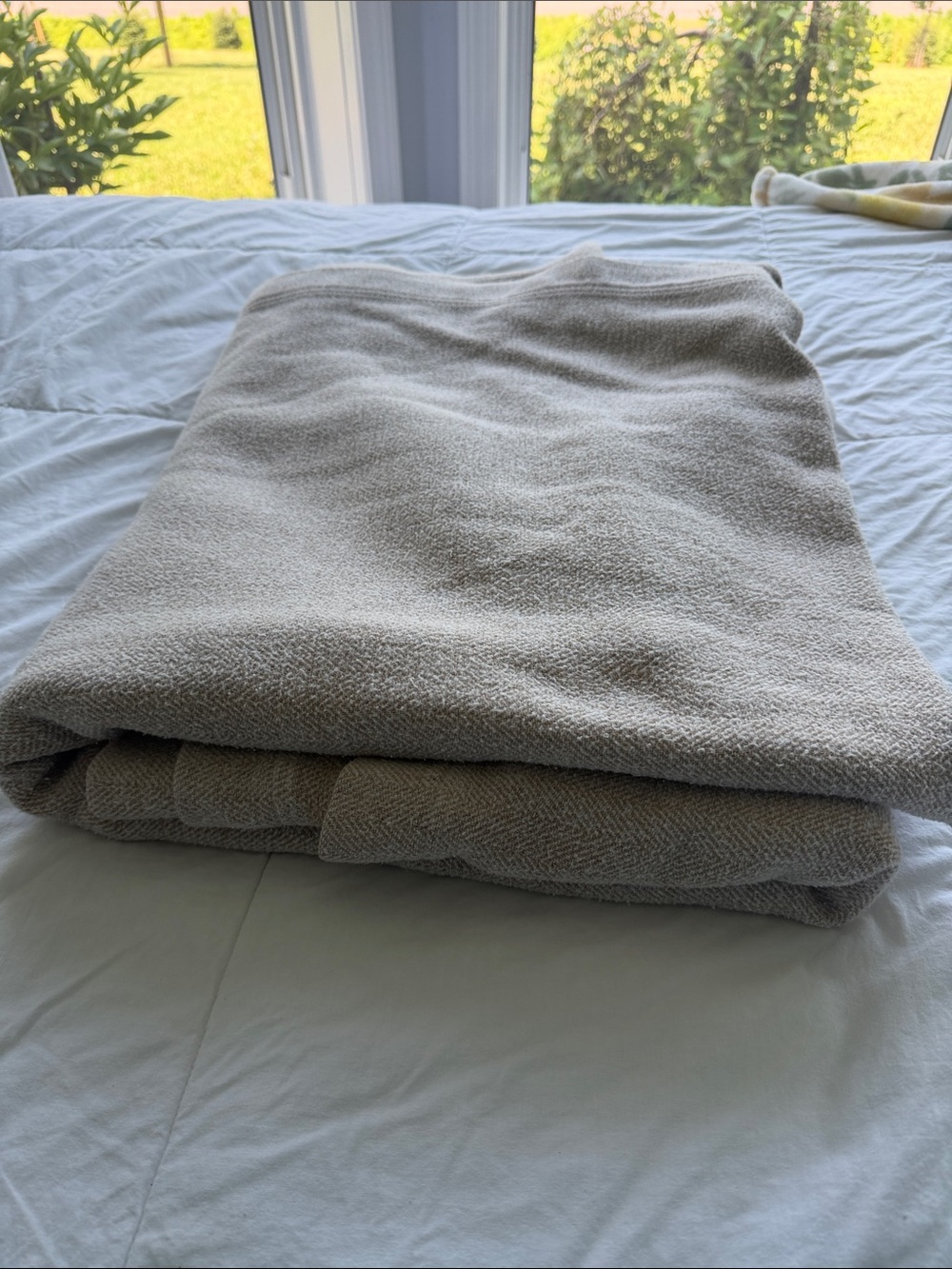 Peacock Alley Natural Beige All Seasons Blanket